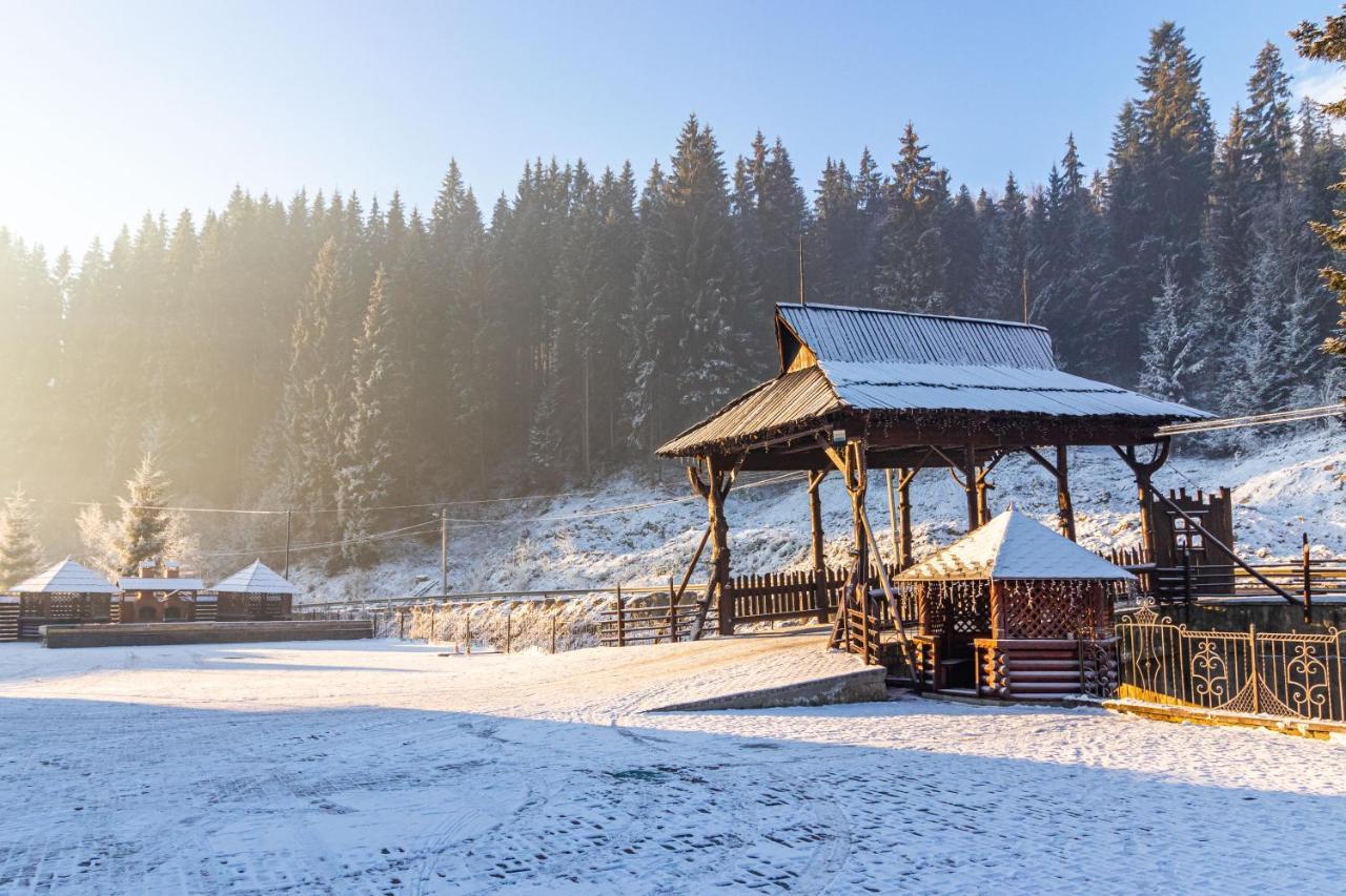 Villa Nikoletta Spa Bukovel Extérieur photo