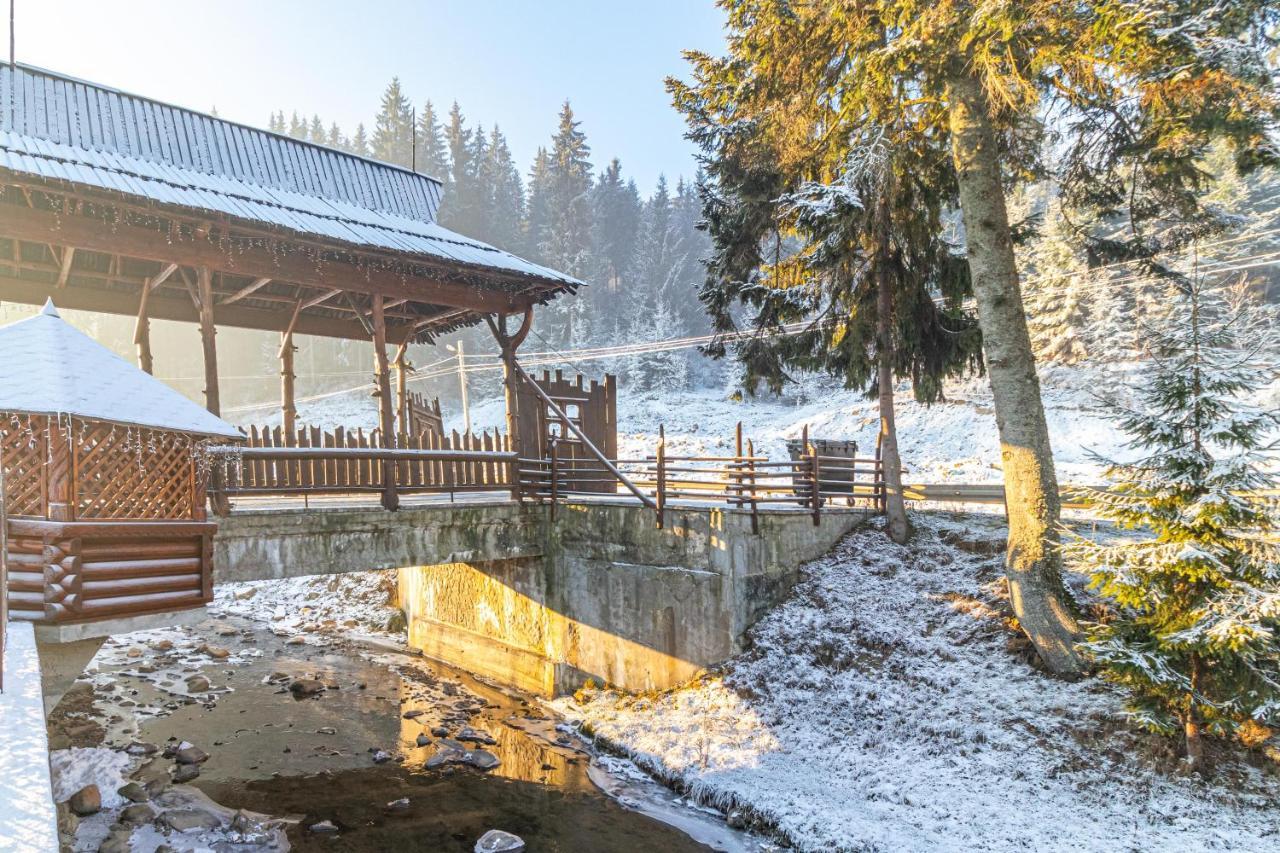 Villa Nikoletta Spa Bukovel Extérieur photo